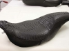 black-allygator-003