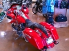 Gator Tail Seat
